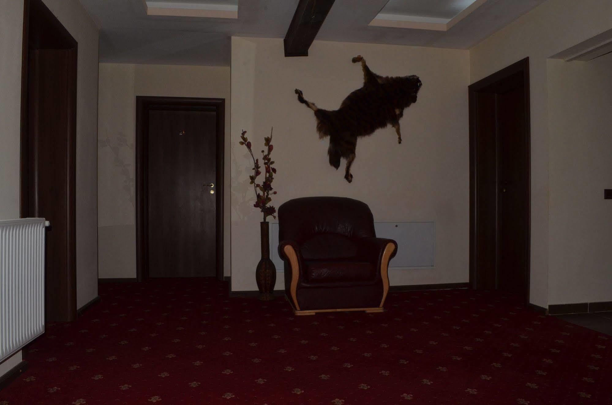 Magic Club Hotel Busteni Exterior photo